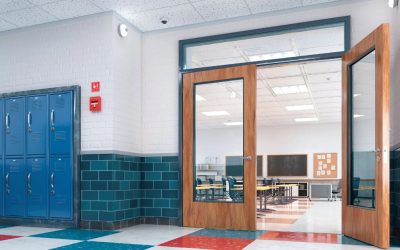 Comprehensive Strategies for Enhancing Physical Security in Educational Facilities…